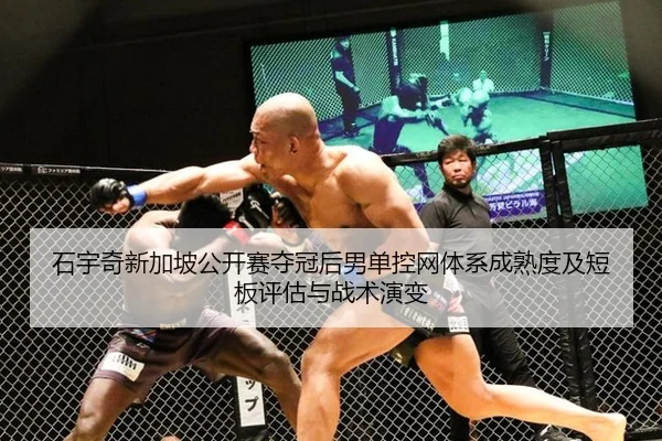 石宇奇新加坡公开赛夺冠后男单控网体系成熟度及短板评估与战术演变