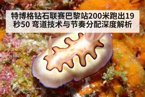 特博格钻石联赛巴黎站200米跑出19秒50 弯道技术与节奏分配深度解析